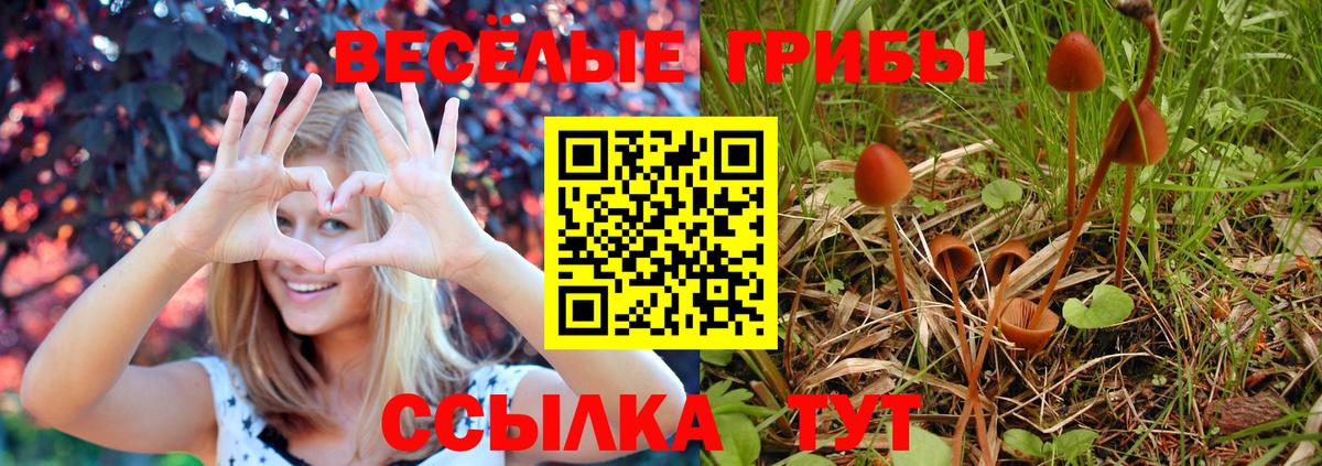 Псилоцибиновые грибы мицелий  Вход с VPN  Бахчисарай 